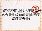 山西信息职业技术学院读什么专业比较有前景(山西学院前景专业)