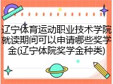 辽宁体育运动职业技术学院就读期间可以申请哪些奖学金(辽宁体院奖学金种类)