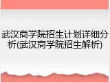 武汉商学院招生计划详细分析(武汉商学院招生解析)