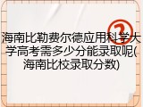 海南比勒费尔德应用科学大学高考需多少分能录取呢(海南比校录取分数)