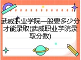 武威职业学院一般要多少分才能录取(武威职业学院录取分数)