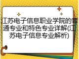 江苏电子信息职业学院的普通专业和特色专业详解(江苏电子信息专业解析)