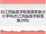 右江民族医学院是国家重点大学吗(右江民族医学院是重点吗)