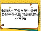 沧州航空职业学院毕业后一般能干什么呢(沧州航院就业方向)