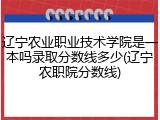 辽宁农业职业技术学院是一本吗录取分数线多少(辽宁农职院分数线)