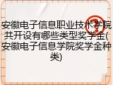 安徽电子信息职业技术学院共开设有哪些类型奖学金(安徽电子信息学院奖学金种类)