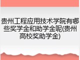 贵州工程应用技术学院有哪些奖学金和助学金呢(贵州高校奖助学金)