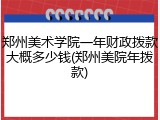 郑州美术学院一年财政拨款大概多少钱(郑州美院年拨款)