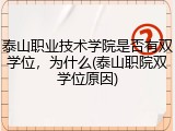 泰山职业技术学院是否有双学位，为什么(泰山职院双学位原因)