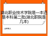 湖北职业技术学院是一本还是本科第二批(湖北职院是几本)