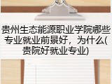 贵州生态能源职业学院哪些专业就业前景好，为什么(贵院好就业专业)