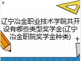 辽宁冶金职业技术学院共开设有哪些类型奖学金(辽宁冶金职院奖学金种类)