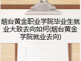 烟台黄金职业学院毕业生就业大致去向如何(烟台黄金学院就业去向)