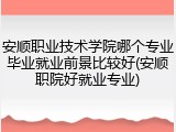 安顺职业技术学院哪个专业毕业就业前景比较好(安顺职院好就业专业)