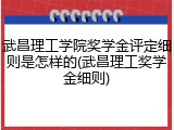 武昌理工学院奖学金评定细则是怎样的(武昌理工奖学金细则)