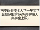 南宁职业技术大学一年奖学金最多能拿多少(南宁职大奖学金上限)