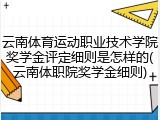 云南体育运动职业技术学院奖学金评定细则是怎样的(云南体职院奖学金细则)