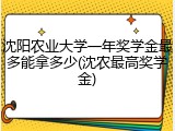 沈阳农业大学一年奖学金最多能拿多少(沈农最高奖学金)