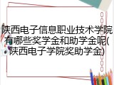 陕西电子信息职业技术学院有哪些奖学金和助学金呢(陕西电子学院奖助学金)