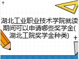 湖北工业职业技术学院就读期间可以申请哪些奖学金(湖北工院奖学金种类)