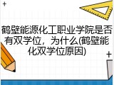 鹤壁能源化工职业学院是否有双学位，为什么(鹤壁能化双学位原因)