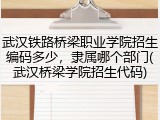 武汉铁路桥梁职业学院招生编码多少,隶属哪个部门(武汉桥梁学院招生代码)