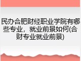 民办合肥财经职业学院有哪些专业，就业前景如何(合财专业就业前景)