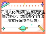 四川文化传媒职业学院招生编码多少，隶属哪个部门(川文传院校号归属)