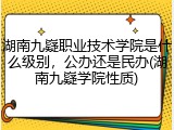 湖南九嶷职业技术学院是什么级别，公办还是民办(湖南九嶷学院性质)