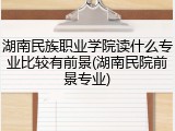 湖南民族职业学院读什么专业比较有前景(湖南民院前景专业)