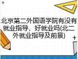 北京第二外国语学院有没有就业指导，好就业吗(北二外就业指导及前景)