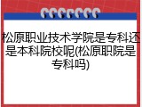 松原职业技术学院是专科还是本科院校呢(松原职院是专科吗)