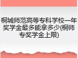 桐城师范高等专科学校一年奖学金最多能拿多少(桐师专奖学金上限)