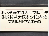 湖北孝感美珈职业学院一年财政拨款大概多少钱(孝感美珈职业学院拨款)