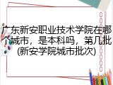 广东新安职业技术学院在哪个城市，是本科吗，第几批(新安学院城市批次)
