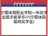 宁夏体育职业学院一年奖学金最多能拿多少(宁夏体院最高奖学金)