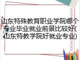 山东特殊教育职业学院哪个专业毕业就业前景比较好(山东特教学院好就业专业)