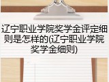 辽宁职业学院奖学金评定细则是怎样的(辽宁职业学院奖学金细则)