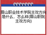 眉山职业技术学院主攻方向是什么，怎么样(眉山职院主攻方向)