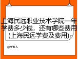 上海民远职业技术学院一年学费多少钱，还有哪些费用(上海民远学费及费用)