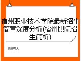 宿州职业技术学院最新招生简章深度分析(宿州职院招生简析)