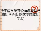 沈阳医学院开设有哪些奖学和助学金(沈阳医学院奖助学金)