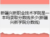 新疆兴新职业技术学院是一本吗录取分数线多少(新疆兴新学院分数线)