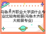 乌鲁木齐职业大学读什么专业比较有前景(乌鲁木齐职大前景专业)