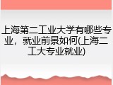 上海第二工业大学有哪些专业，就业前景如何(上海二工大专业就业)