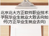 北京北大方正软件职业技术学院毕业生就业大致去向如何(方正毕业生就业去向)