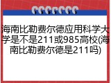 海南比勒费尔德应用科学大学是不是211或985高校(海南比勒费尔德是211吗)