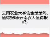 云南农业大学含金量量吗，值得报吗(云南农大值得报吗)