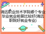 清远职业技术学院哪个专业毕业就业前景比较好(清远职院好就业专业)