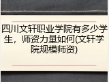 四川文轩职业学院有多少学生，师资力量如何(文轩学院规模师资)